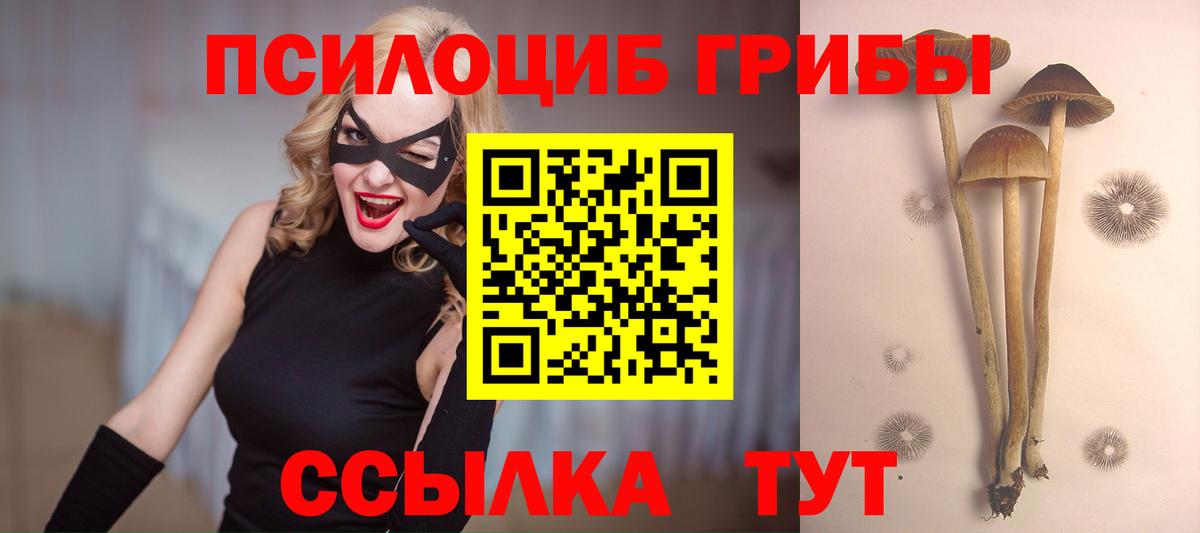 Псилоцибиновые грибы MAGIC MUSHROOMS  Вход с VPN  Ленинск-Кузнецкий 